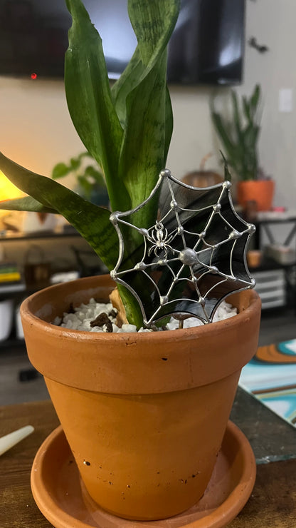 Spiderweb Plant Stake