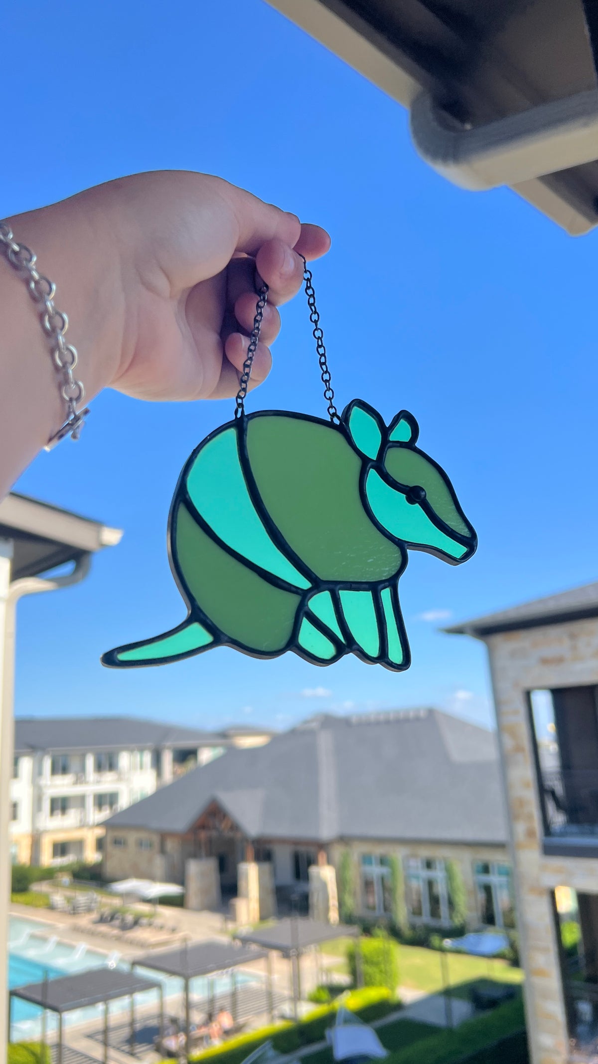 Lil’ Dillo • Mint