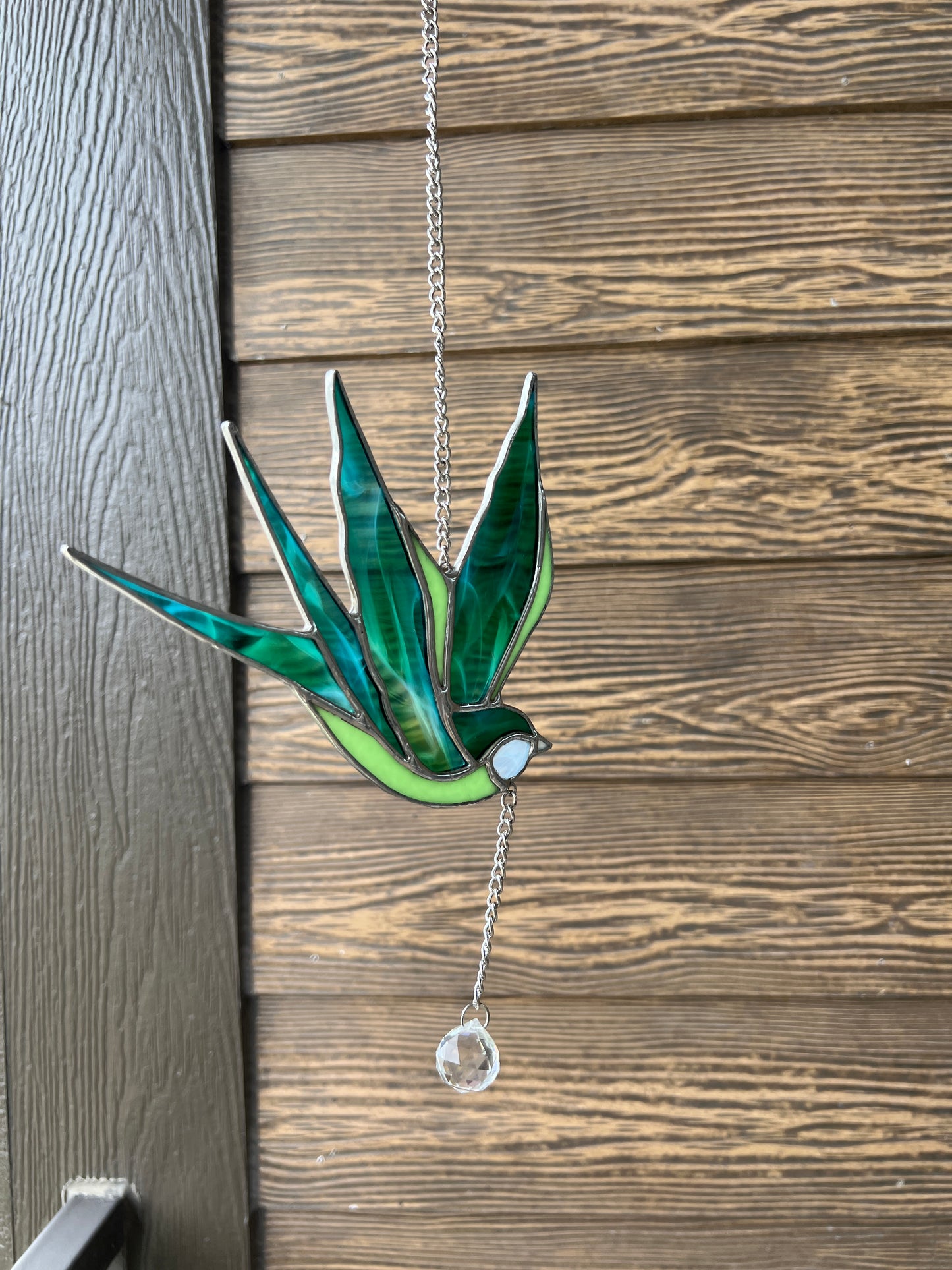 Sailor Sparrow • Teal