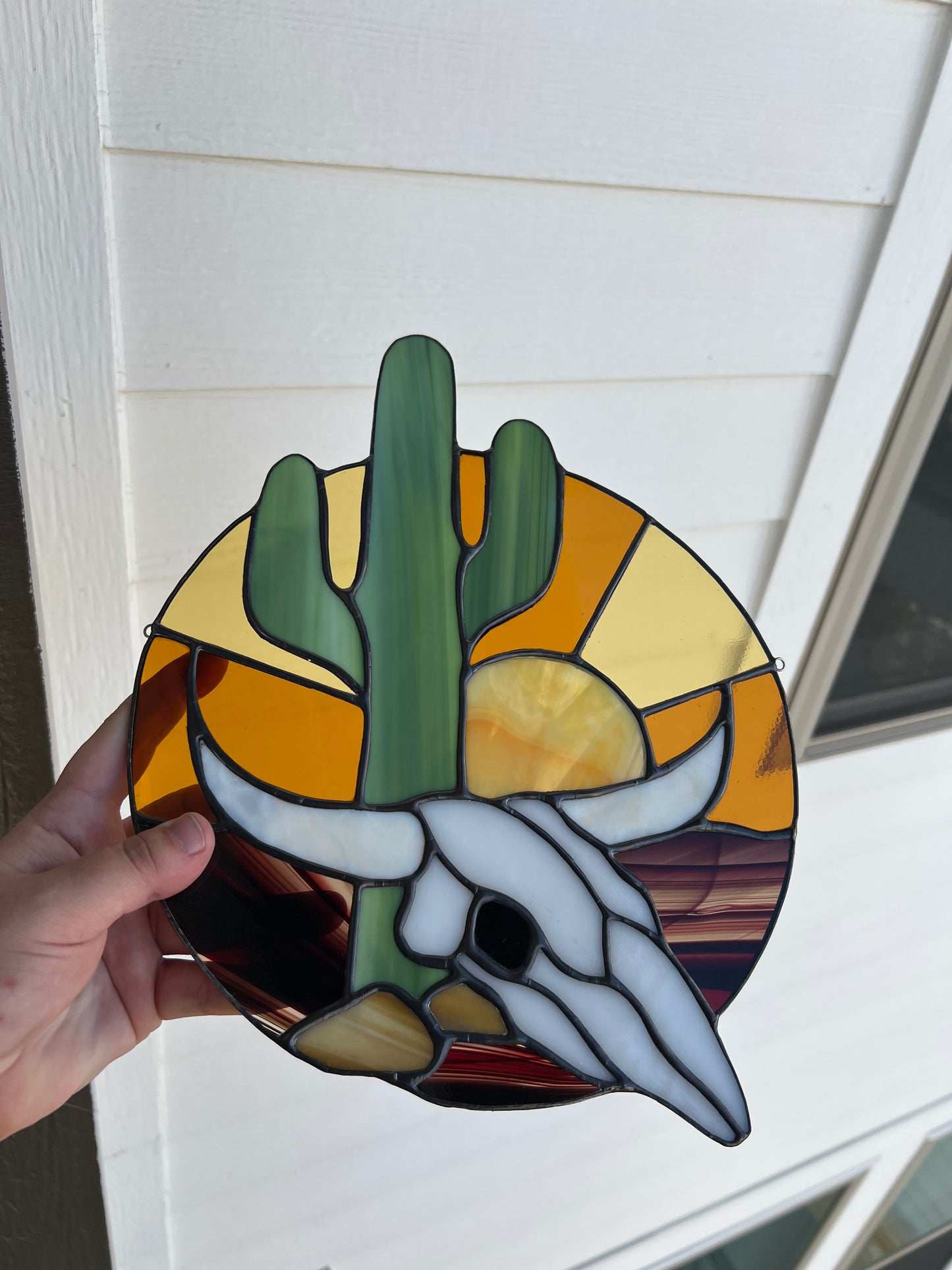 Saguaro Skull