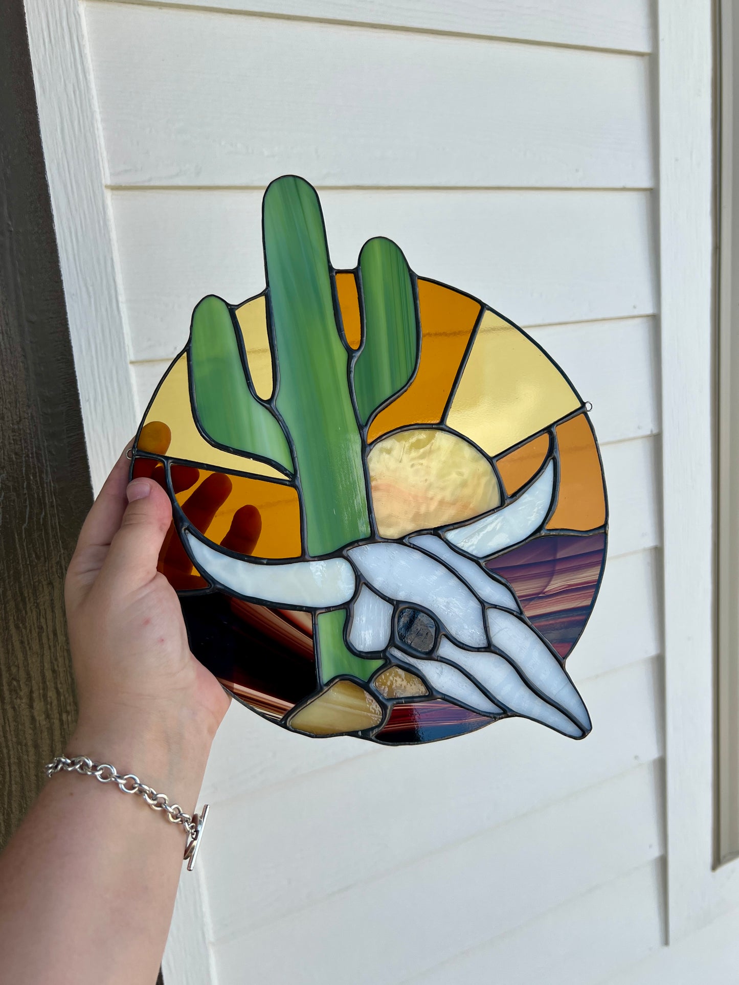 Saguaro Skull